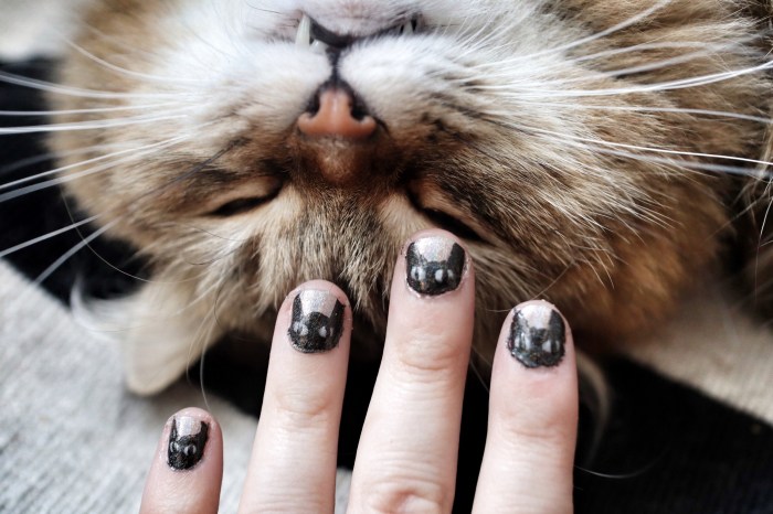 Cat manicure black nail nails polish cats animal beauty